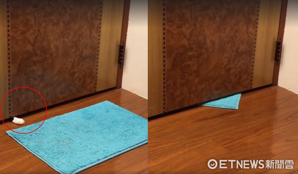 Ghost Month Not Here Yet...Doormat Mysteriously in Living Room Every Day! Hidden Camera Reveals the "Cat Thief" (Image provided by Zhu)