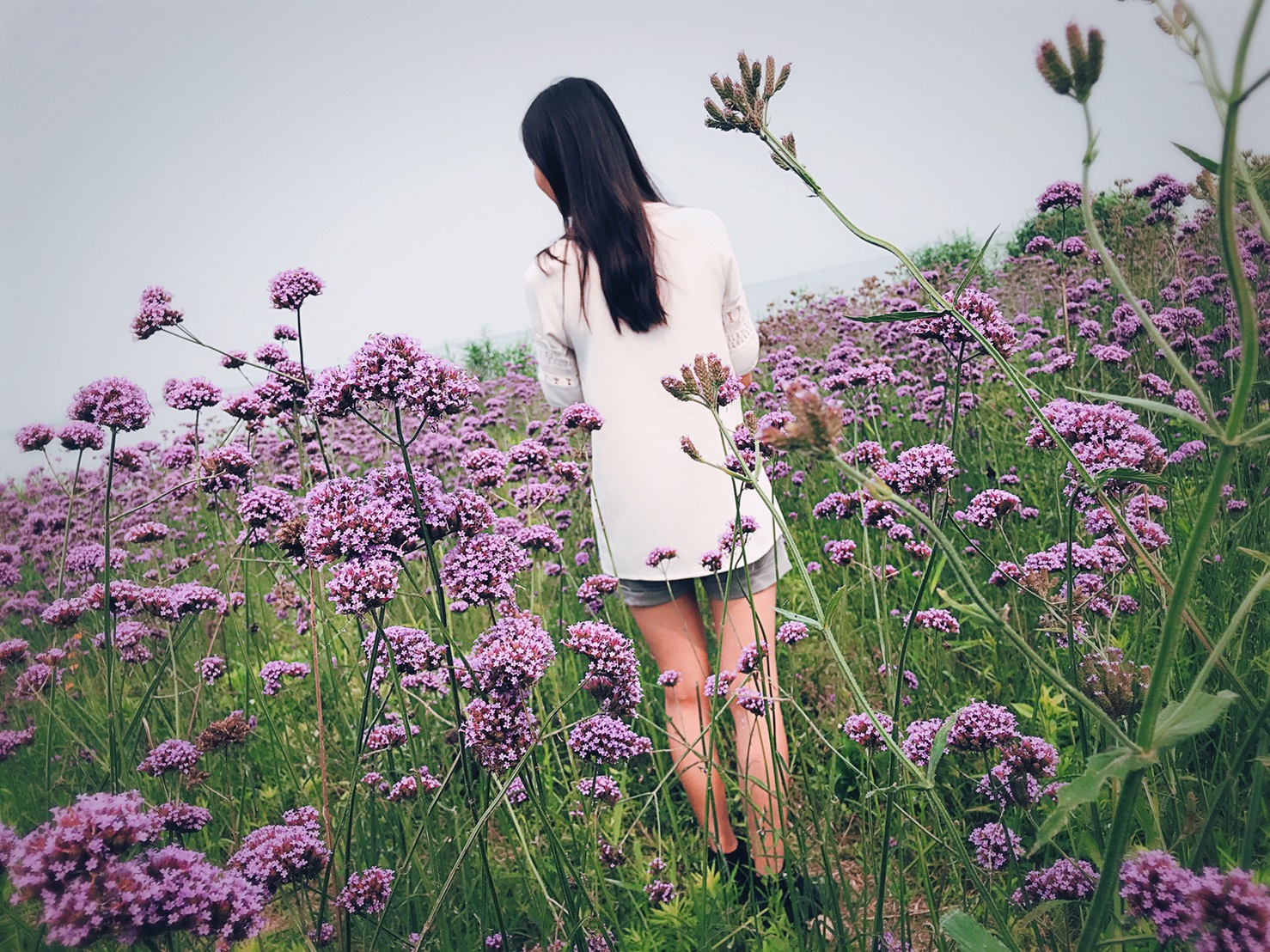 Key Lessons from My First Job (Part 2): Stick to the Facts, Don't Let Emotions Control You